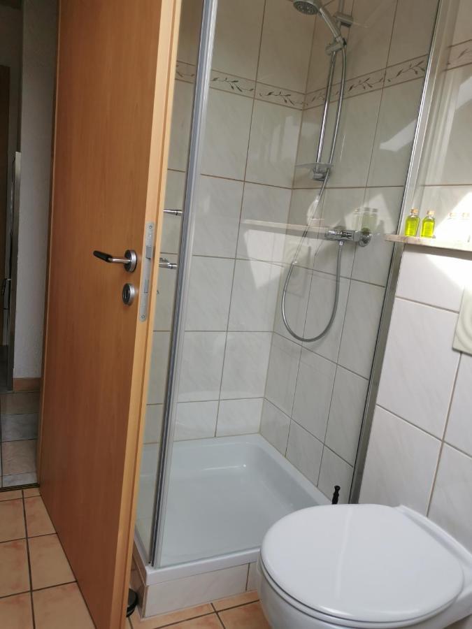 Apartment Hasselstrasse Mehren  Экстерьер фото